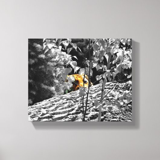 Tigre Cache-cache Toile 10x8 (Recto)