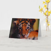 Tigre CUB de blanc de carte de voeux (Fleur jaune)