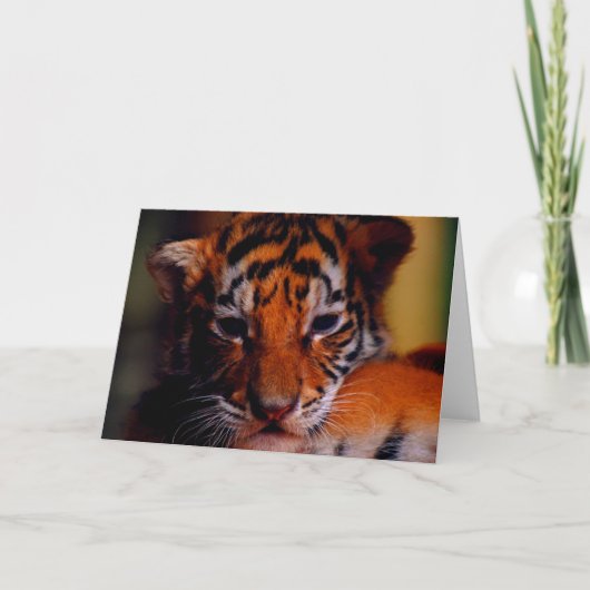Tigre CUB de blanc de carte de voeux (Devant)