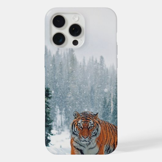 tigre dans la neige (Verso)