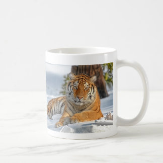 Tigre dans la tasse de neige