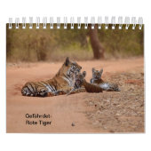 Tigre dans rouges comme calendriers (Protection)