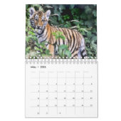 Tigre dans rouges comme calendriers (Mar 2026)