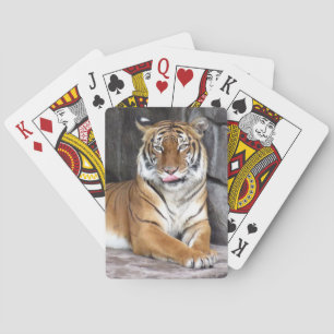 Tigre de Bengale - Cartes de Jeu de Vélos