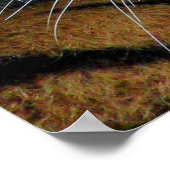 Tigre de Sibérie, Poster de Tigre d'Amur (Coin)