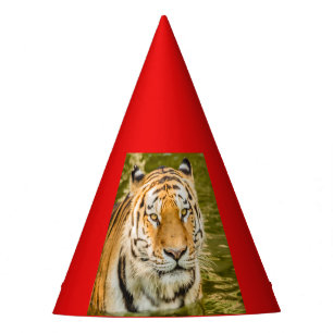 TIGRE DE SIBÉRIE sur un chapeau de fête