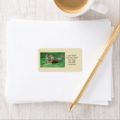 Tigre De Sumatran Dans L'Herbe Très Étiquette (En situation)