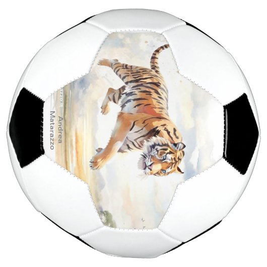 Tigre en action (Tourné)