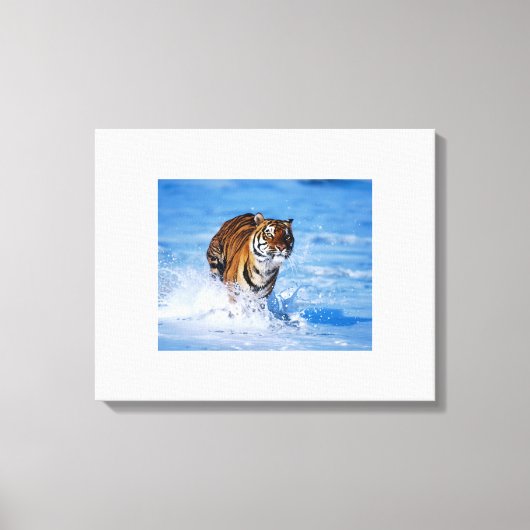 Tigre en toile (Recto)