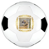 Tigre encadré (Tourné)