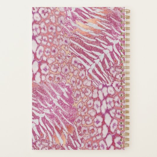 Tigre léopard tendance (Dos)