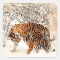 tigre maman et bébé autocollants