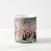 Tigre, Mug blanc classique de 11 oz (Centre)