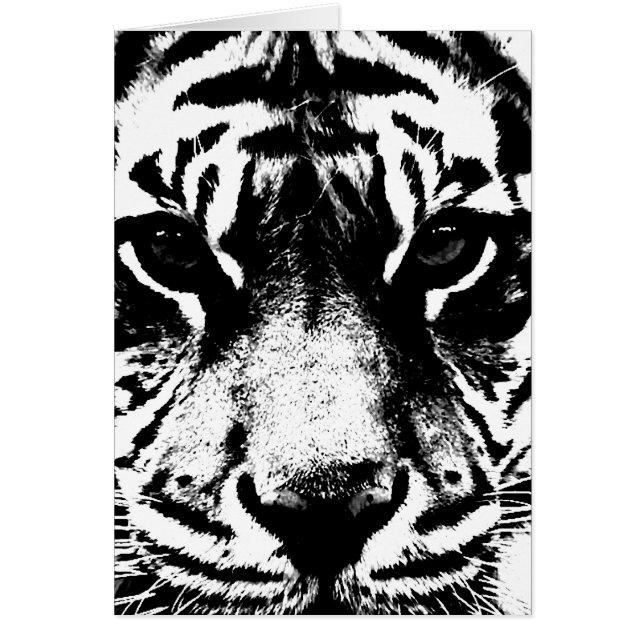Tigre noir et blanc (Devant)