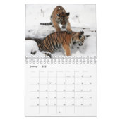 Tigre rouge comme calendrier (Jan 2027)