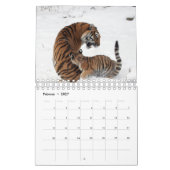 Tigre rouge comme calendrier (Feb 2027)