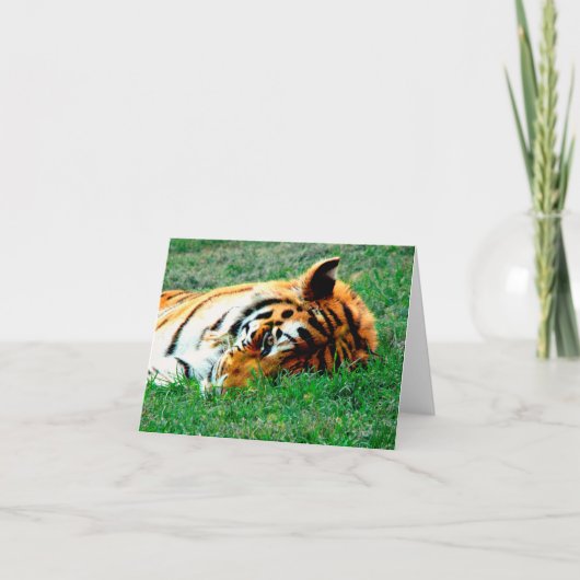 Tigre se trouvant vers le bas carte de note (Devant)