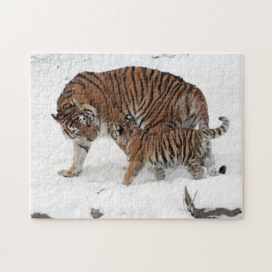 Tigre sibérien et puzzle de CUB (Horizontal)