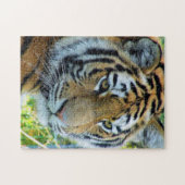 Tigre sibérien, puzzle de tigre d'Amur (Horizontal)