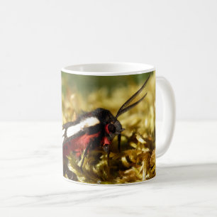Tigre Tigre Tiger Moth Bug Mug