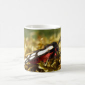 Tigre Tigre Tiger Moth Bug Mug (Centre)