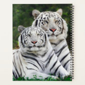 Tigres Blancs (Dos)