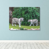 Tigres blancs afficher l'impression de toile (Insitu (Plancher de Bois))