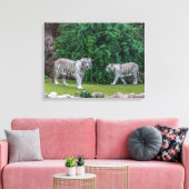 Tigres blancs afficher l'impression de toile (Insitu(Salon))
