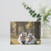 Tigres Blancs Éthérés – Carte Postale de la Forêt (Debout devant)
