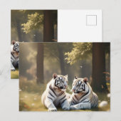 Tigres Blancs Éthérés – Carte Postale de la Forêt (Devant / Derrière)