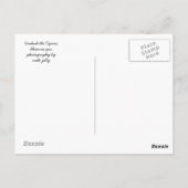 Tigress Briefkaart (Achterkant)