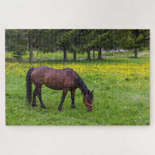 Tihuta-pas, paard in de wei legpuzzel