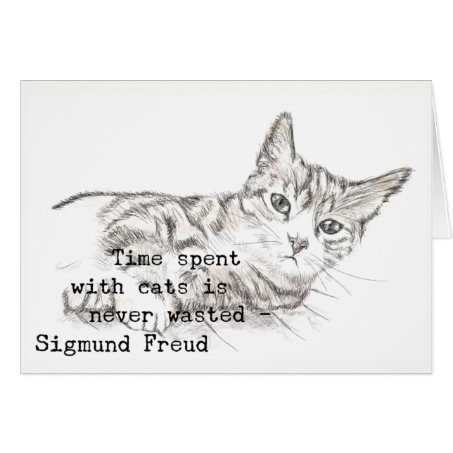 Tijd besteed met katten. . . (Voorkant Horizontaal)