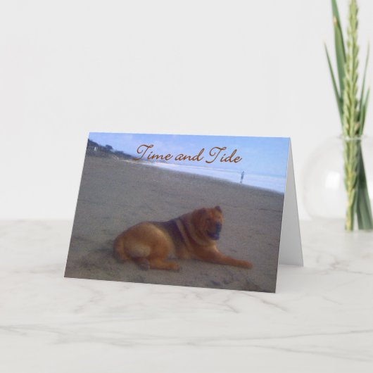 Tijd & Getijde Kaart (Voorkant)