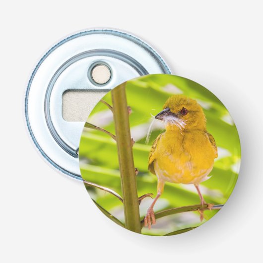 Tijd om het nest te bouwen button flesopener (Voorkant)