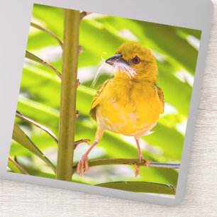 Tijd om het nest te bouwen sticker