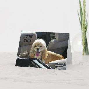 TIJD OM TE CELEBRATEN MET MIJN TWEEMAAL DAGEN KAAR KAART