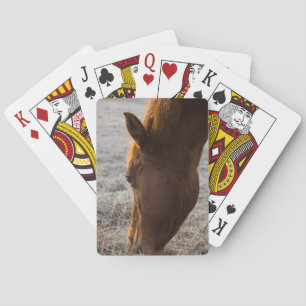 Tijd om te eten pokerkaarten