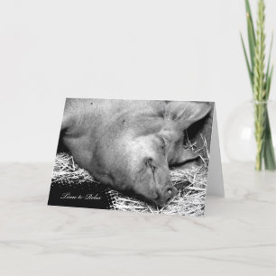 Tijd om te ontspannen Pig - Blank pensioen Kaart
