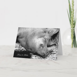 Tijd om te ontspannen Pig - Blank pensioen Kaart