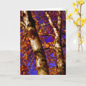 Tijd, opnieuw kaart (Gele Bloem)