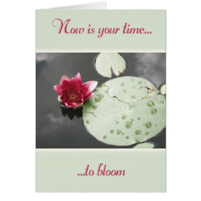 Tijd tot bloom (Voorkant)