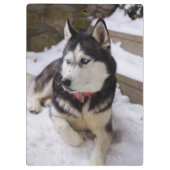 Tijd tot rust klembord (Achterkant)