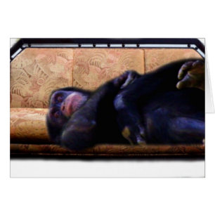 Tijd voor een pauze_