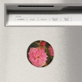 Tijden voorbij magneet (Insitu (Vaatwasser))