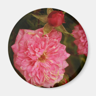 Tijden voorbij magneet