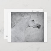 Tijdige schoonheid briefkaart (Voorkant / Achterkant)