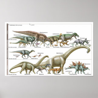 Tijdlijn van de dinosauriërs Jurassic Biologie Poster