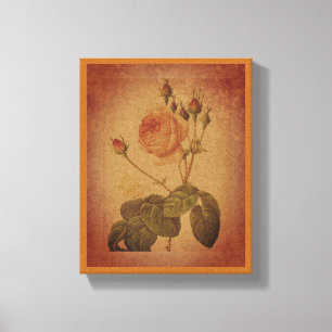 Tijdloze Elegantie  Roos Canvas Afdruk
