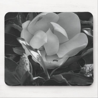 Tijdloze Magnolia Muismat